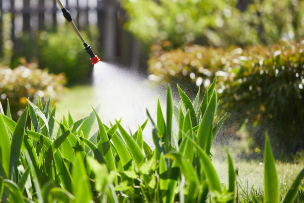 24/7 Emergency Cockroach Control experts in Parsippany, NJ